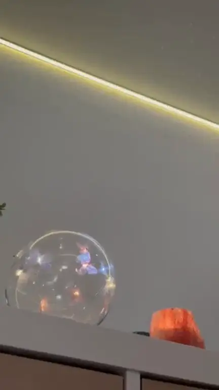 La bola de cristal con mariposas de colores y una luz naranja en la balda, bajo la tira de luz del techo de la sala